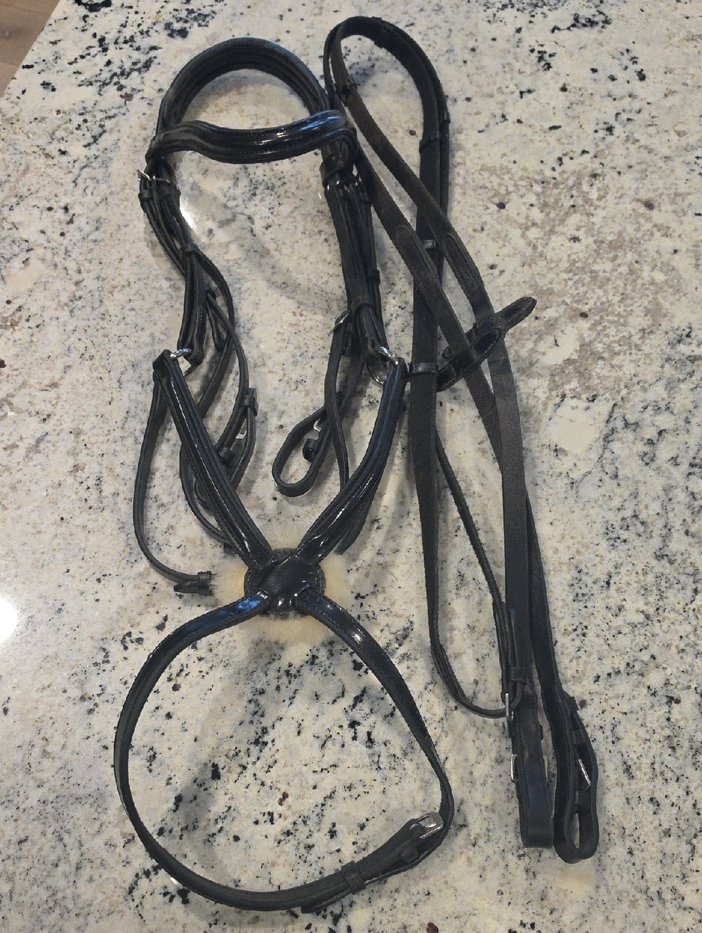 Black Leather Horse Bridle and Reins